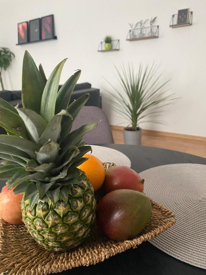 Penthouse West S Leilighet Varaždin Eksteriør bilde
